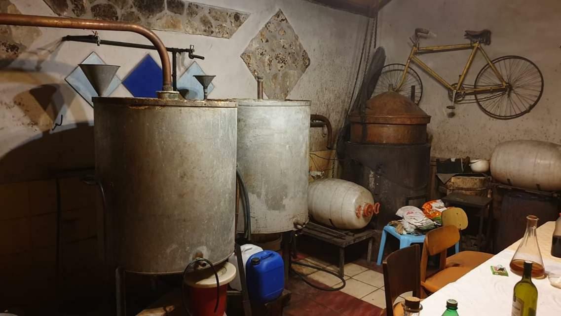 Apartman Bruna Šibenik Dış mekan fotoğraf